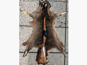 Blaser K95 .308