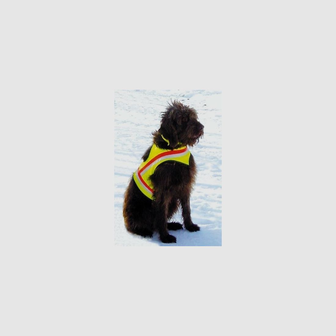 Hundewarnweste Gr. 2 (50-70H /55-85B) Bracke