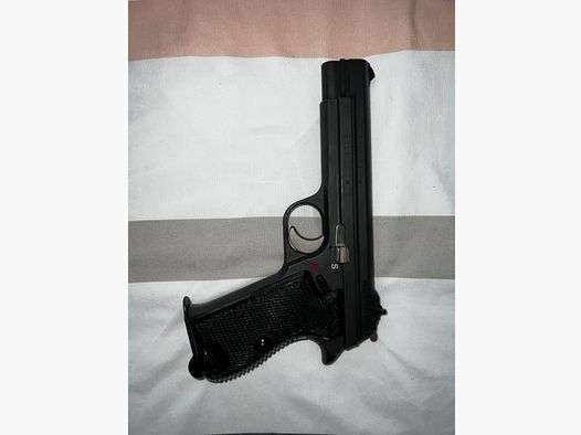 Sig Pist 49 210