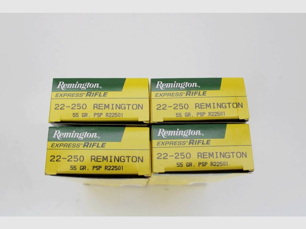 80 Schuß Remington .22-250 Rem mit 55gr. PSP 4x20er Pack