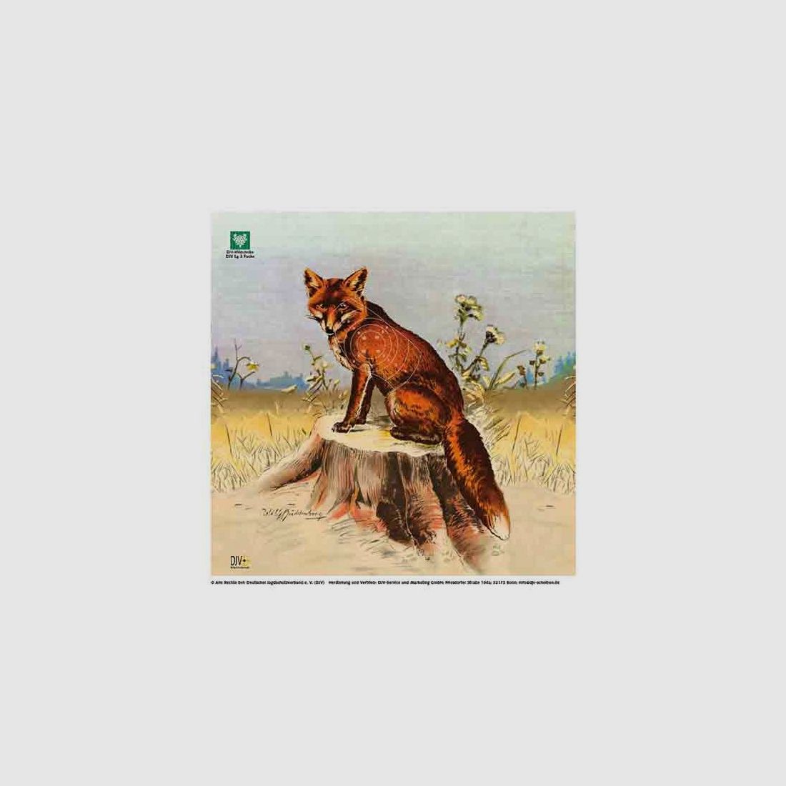 Cible de chasse pour carabine à air DJV renard