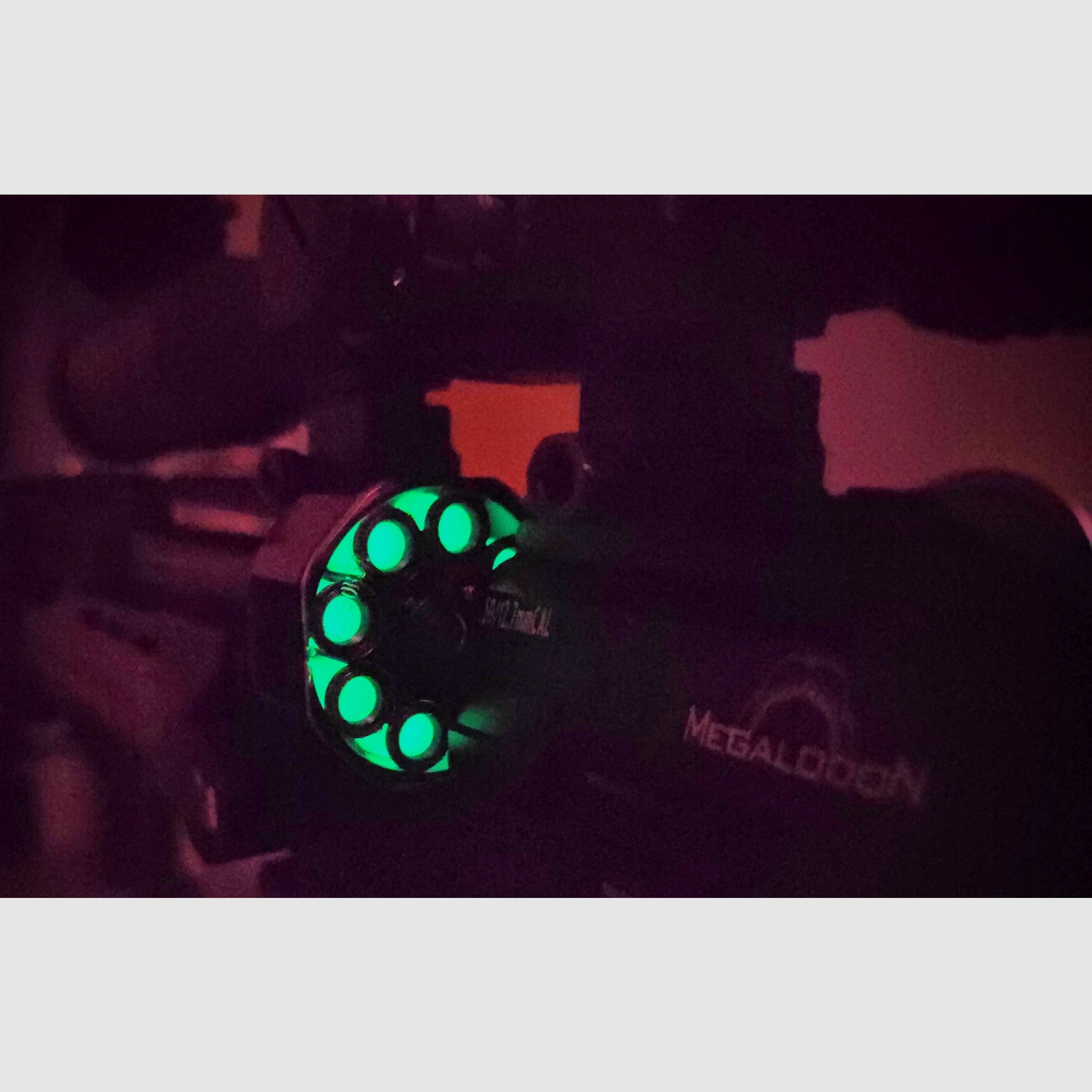 AEA MEGALODON SLUGS GLOW IN THE DARK 30 STÜCK MAX. LEGAL PERFORMANCE CAL. 50