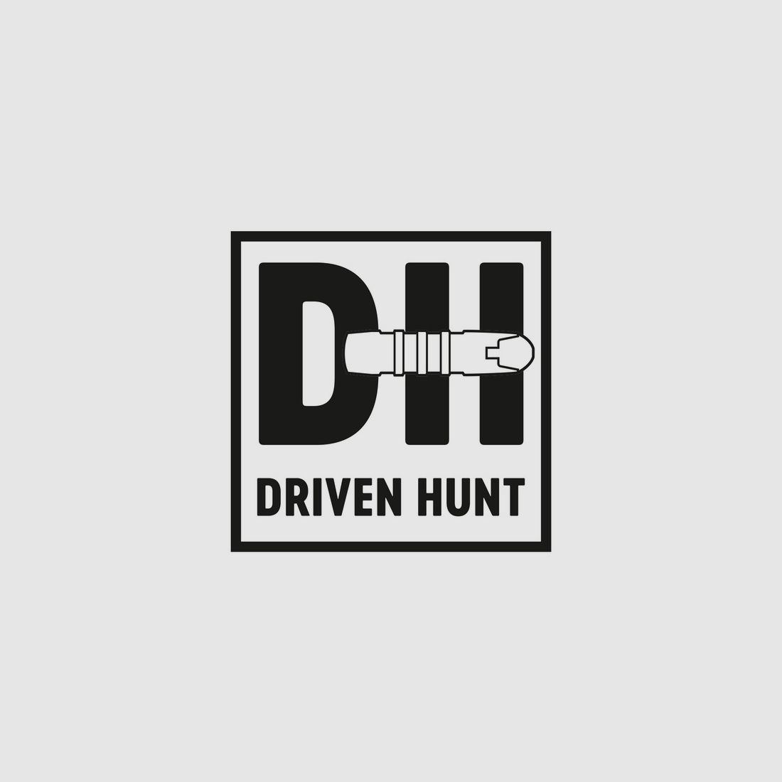 RWS .300 WinMag Driven Hunt 10,7g amunicja myśliwska bez ołowiu, zdjęcie 3 z 3