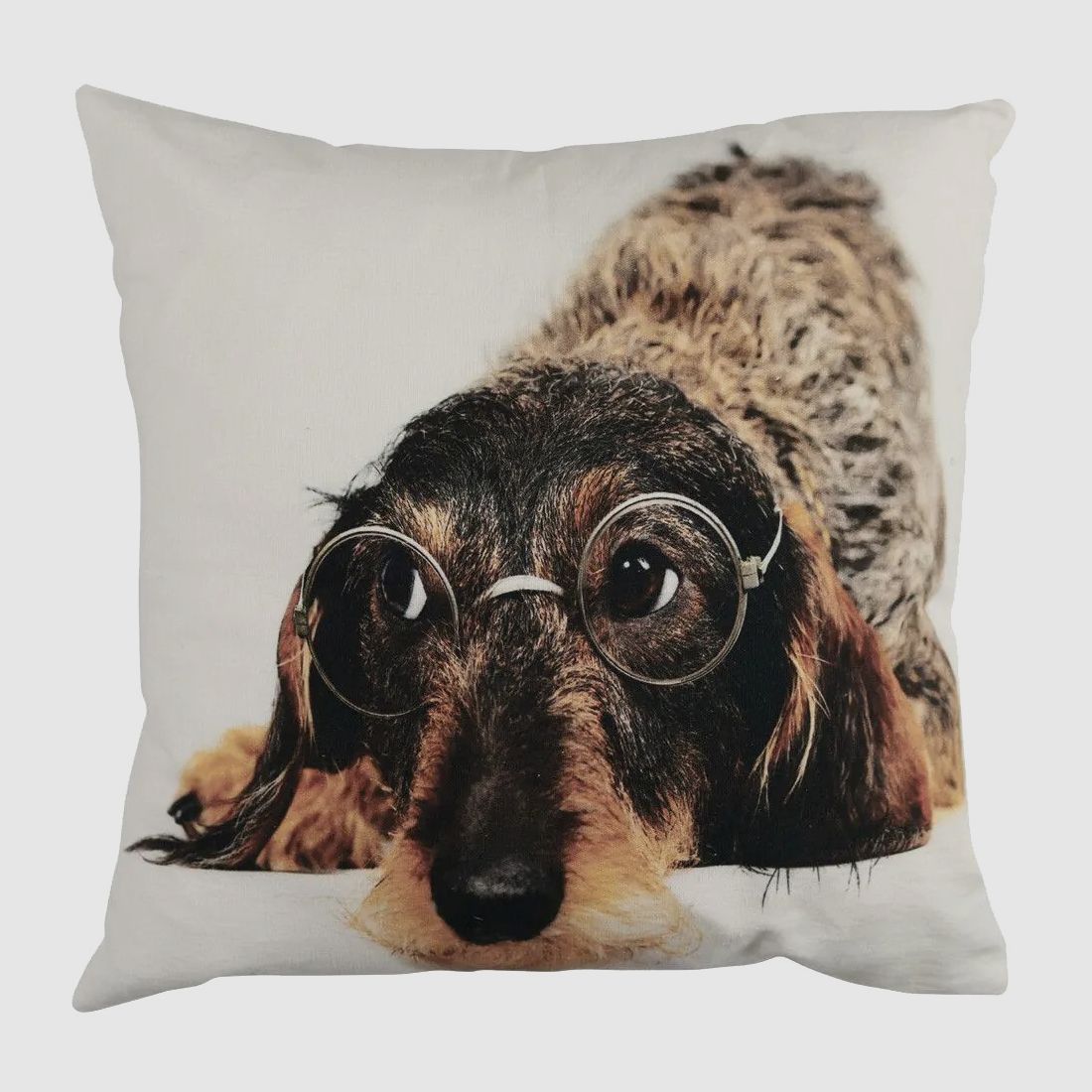 Kissen Dackel mit Brille 50x50 cm