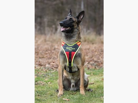 Niggeloh Dog Handler Harness Follow Sport Plus