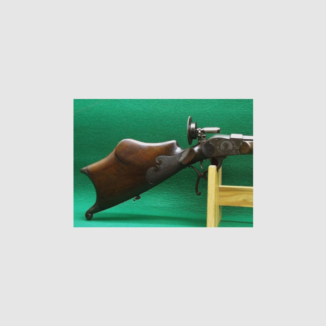 Stiegele room gun