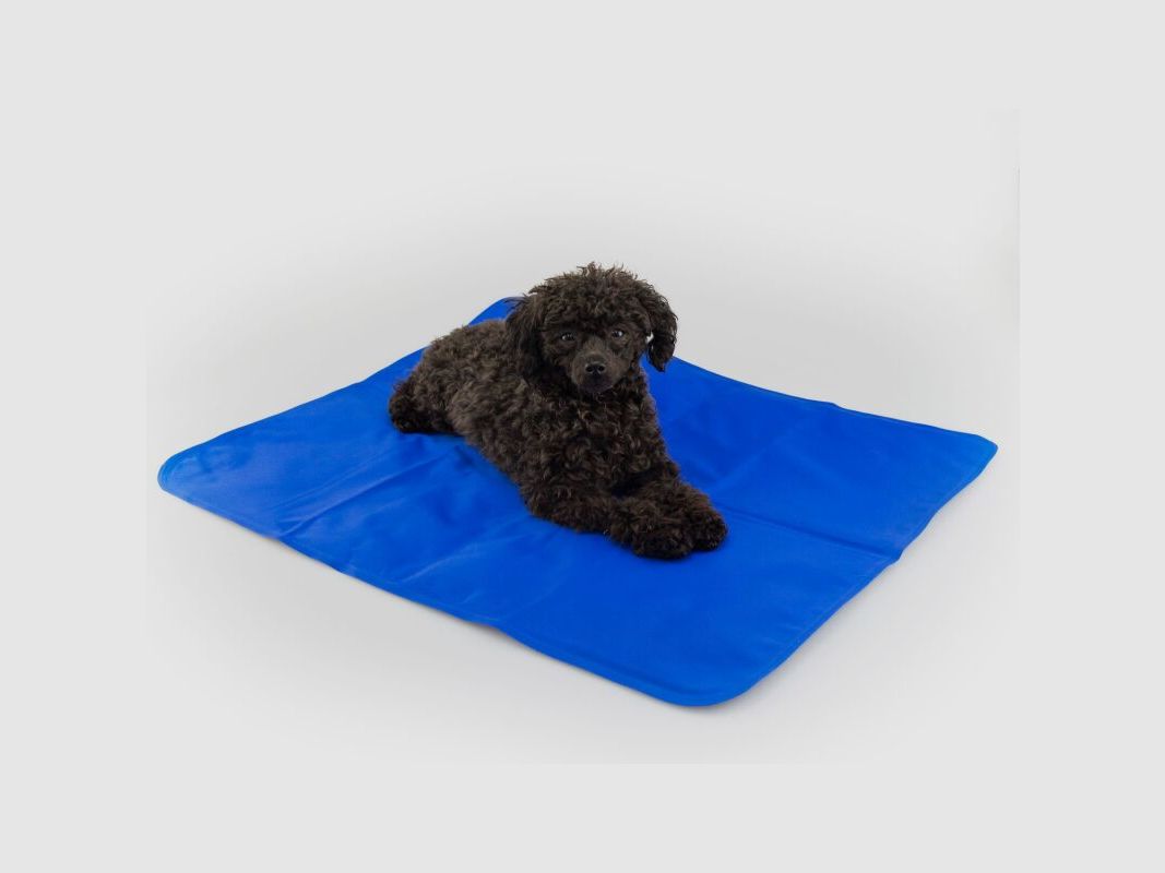 Procyon Hunde Kühlmatte