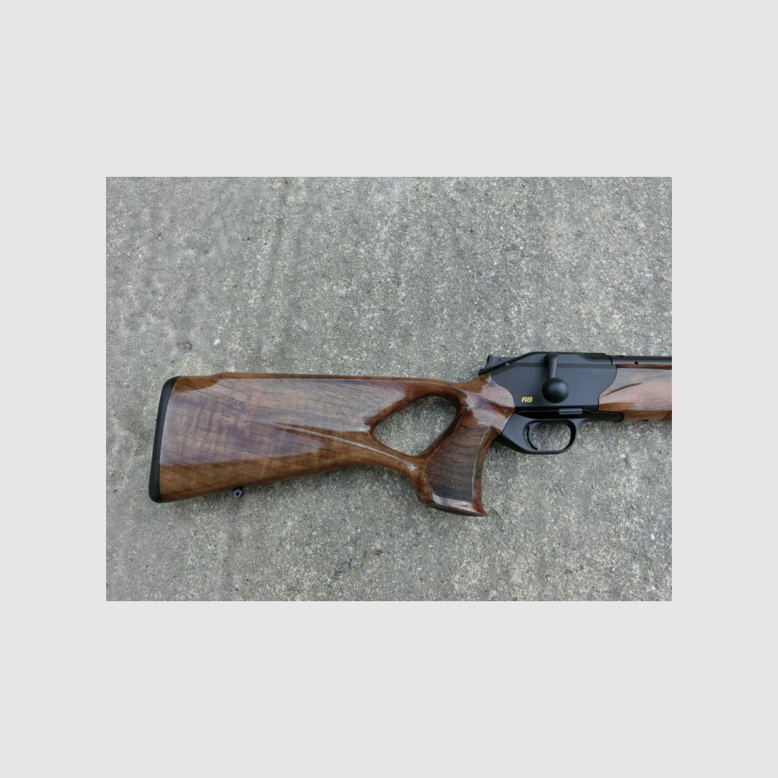 Blaser	 R8 Success