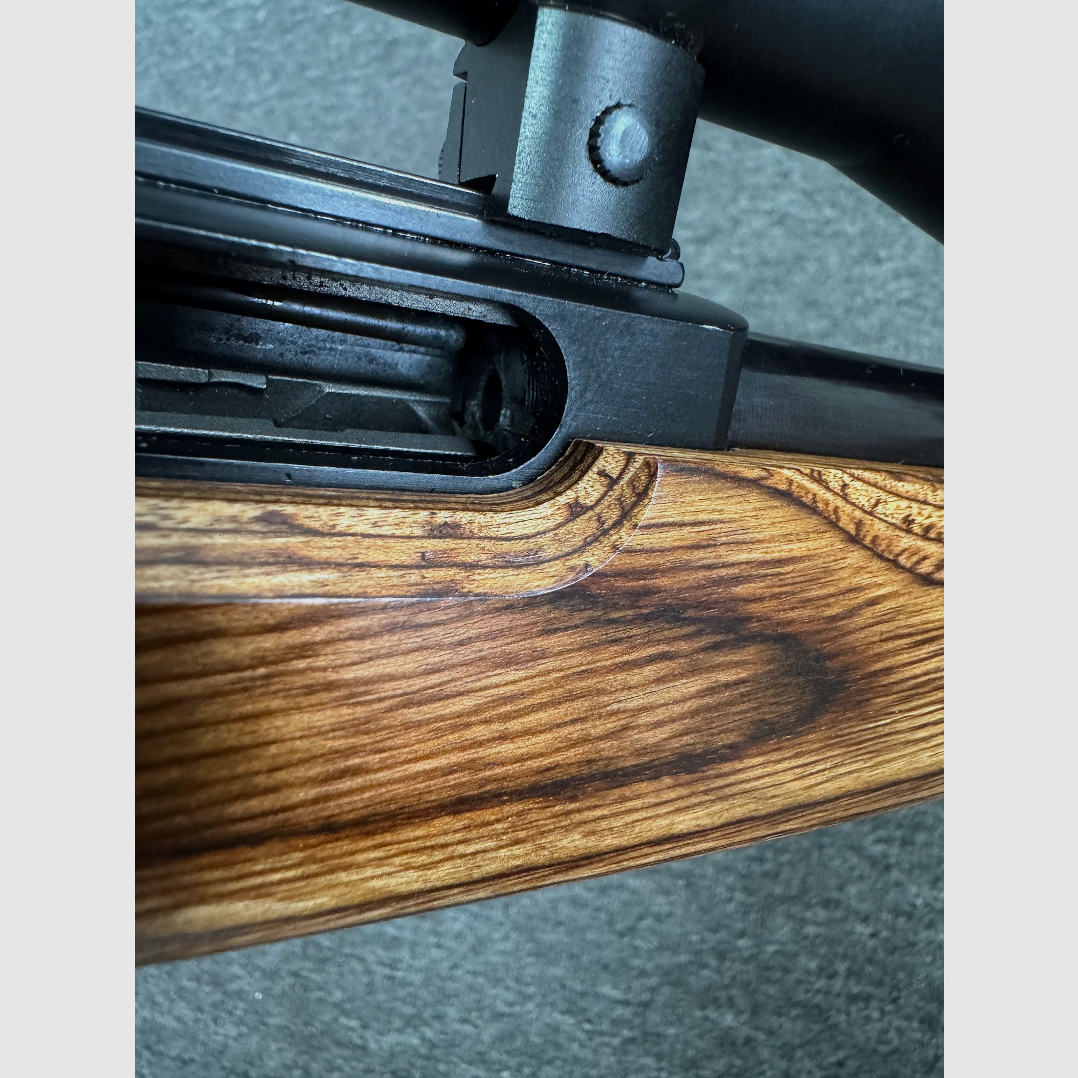 Ruger 10/22 SLB .22LR mit ZF