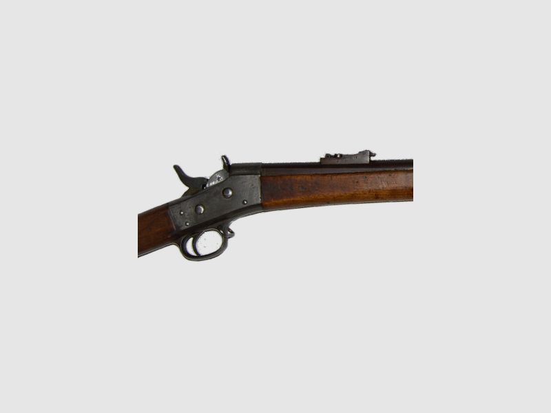 M1867 Sweden Military, afbeelding 3 van 4