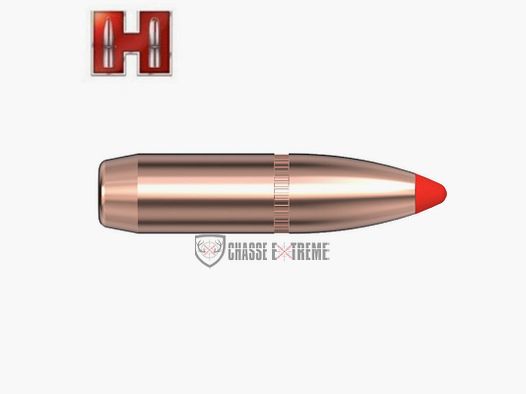 100 Bullets HORNADY 25 Cal 257 110Gr FTX