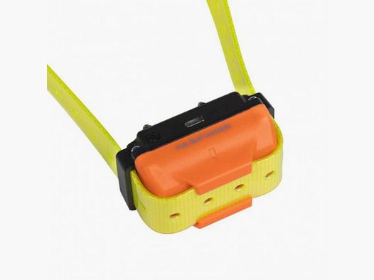 Collier de dressage Num'Axes Canicom R sangle jaune
