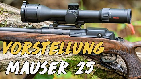 Vorstellung - Mauser 25