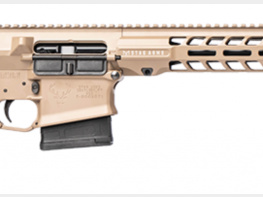 Paket - Stag Arms Stag 10 Tactical .308 Win. 16" Selbstladebüchse FDE + Tasche + Magazin + Boresnake