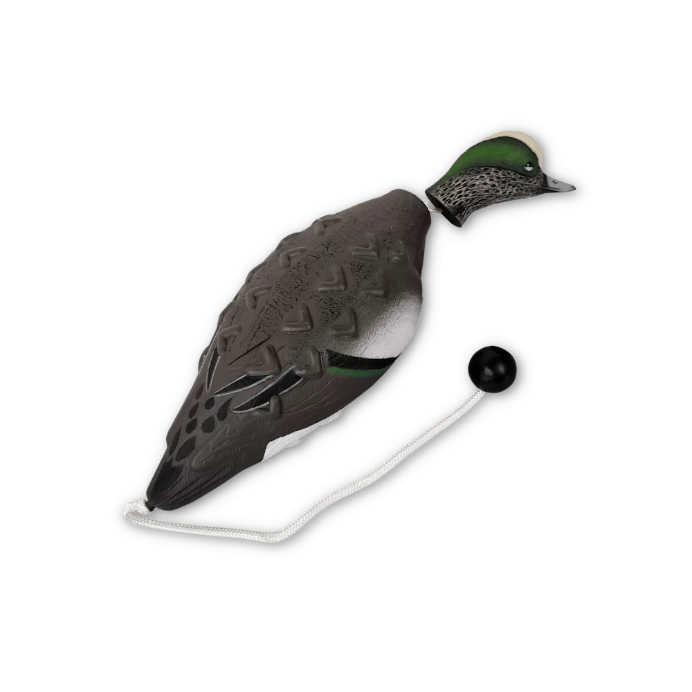 Avery Sporting Dog Wigeon