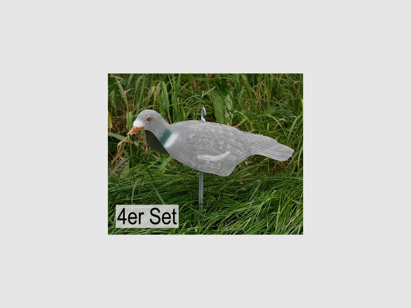 pierścień miłosny Ringeltaube z półmiskiem pokrytym flokiem (zestaw 4 sztuk) |