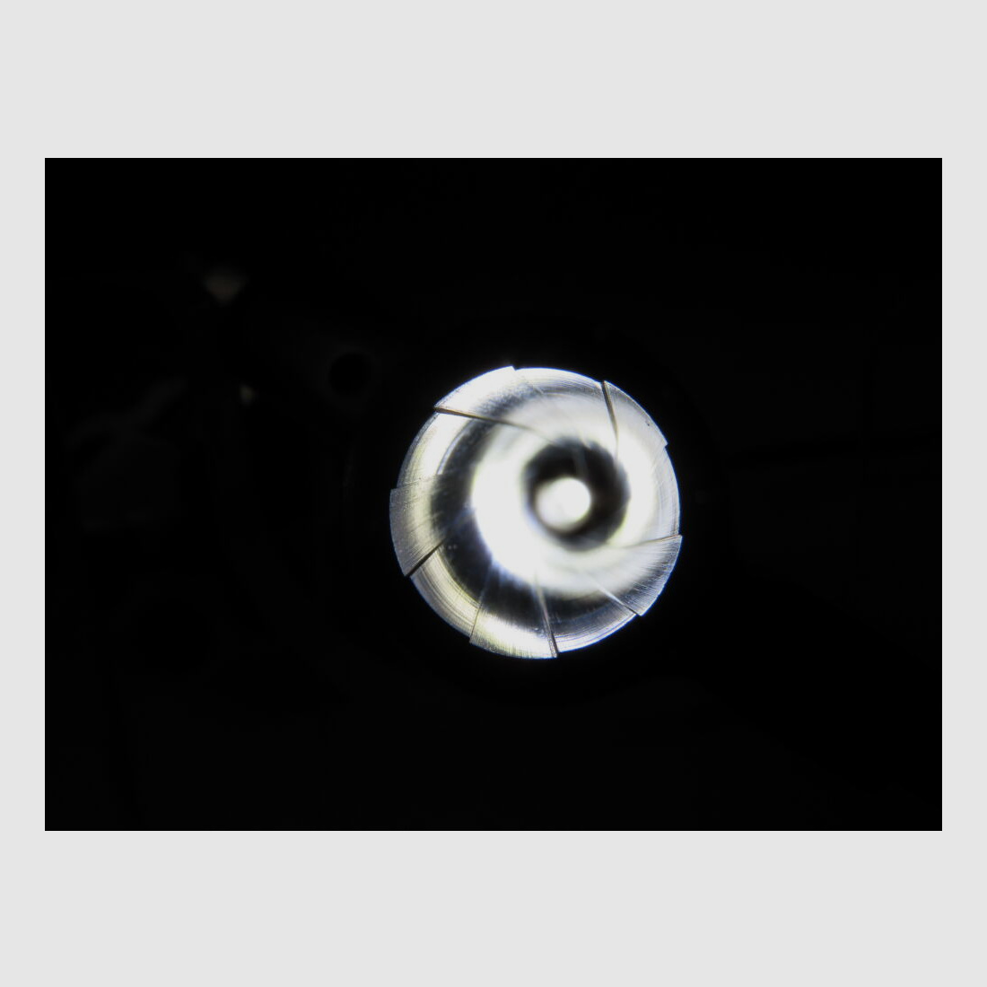 Smith & Wesson 629 Mountain Gun 4 pollici