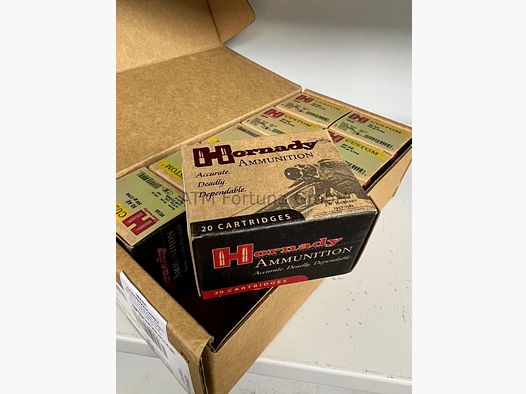 Hornady 50AE 300 gr XTP