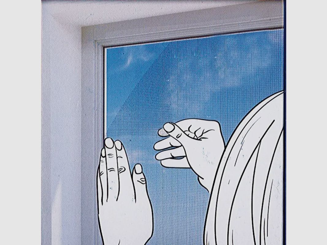 Fliegengitter für Fenster - einfache Montage, Bild 1 von 6