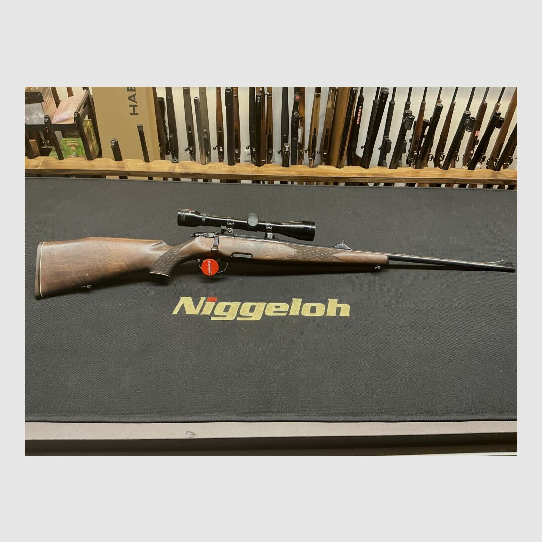 Steyr Without .243Win