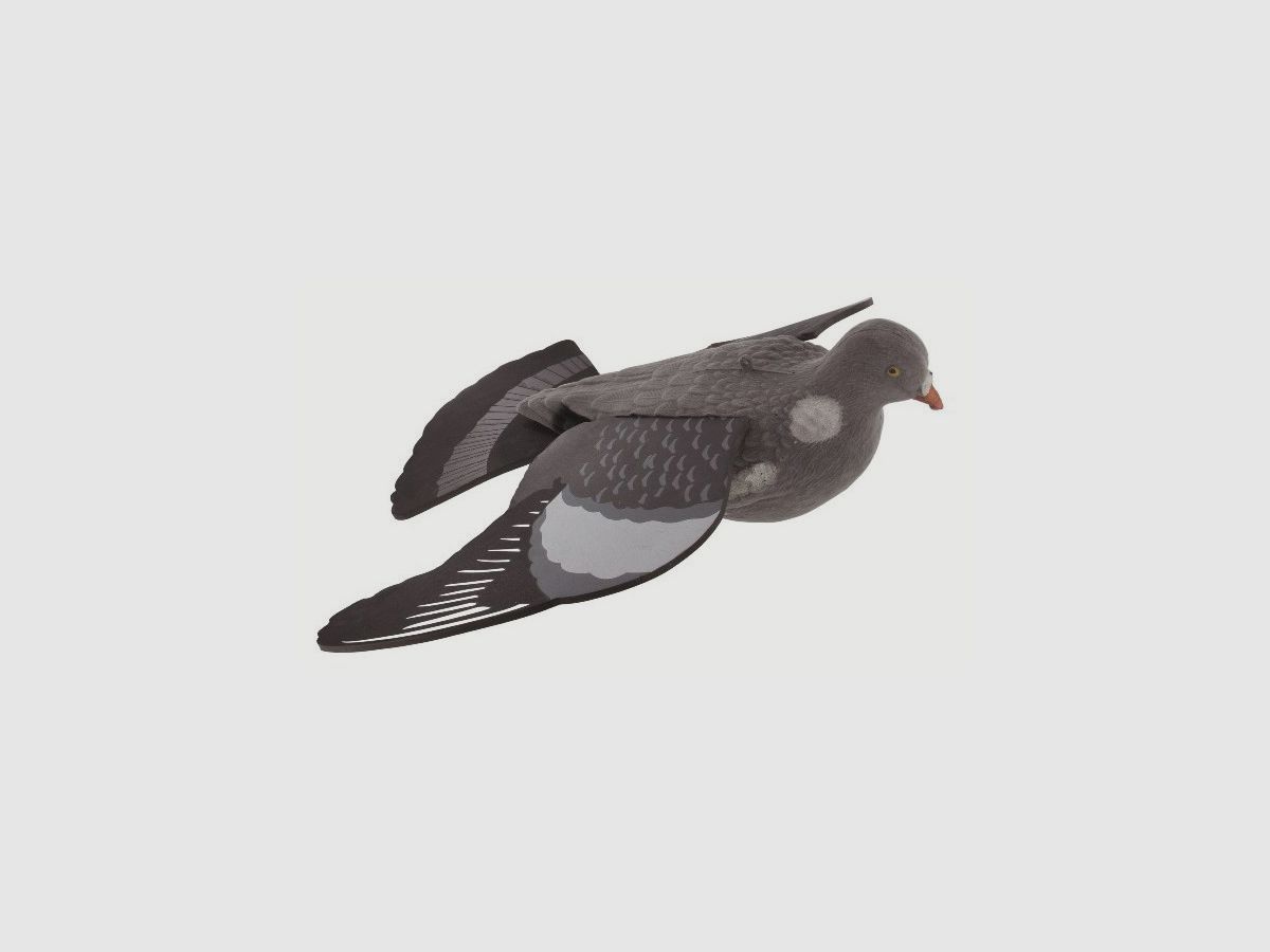 Pigeon Mirage im Flug FUZYON JAGD