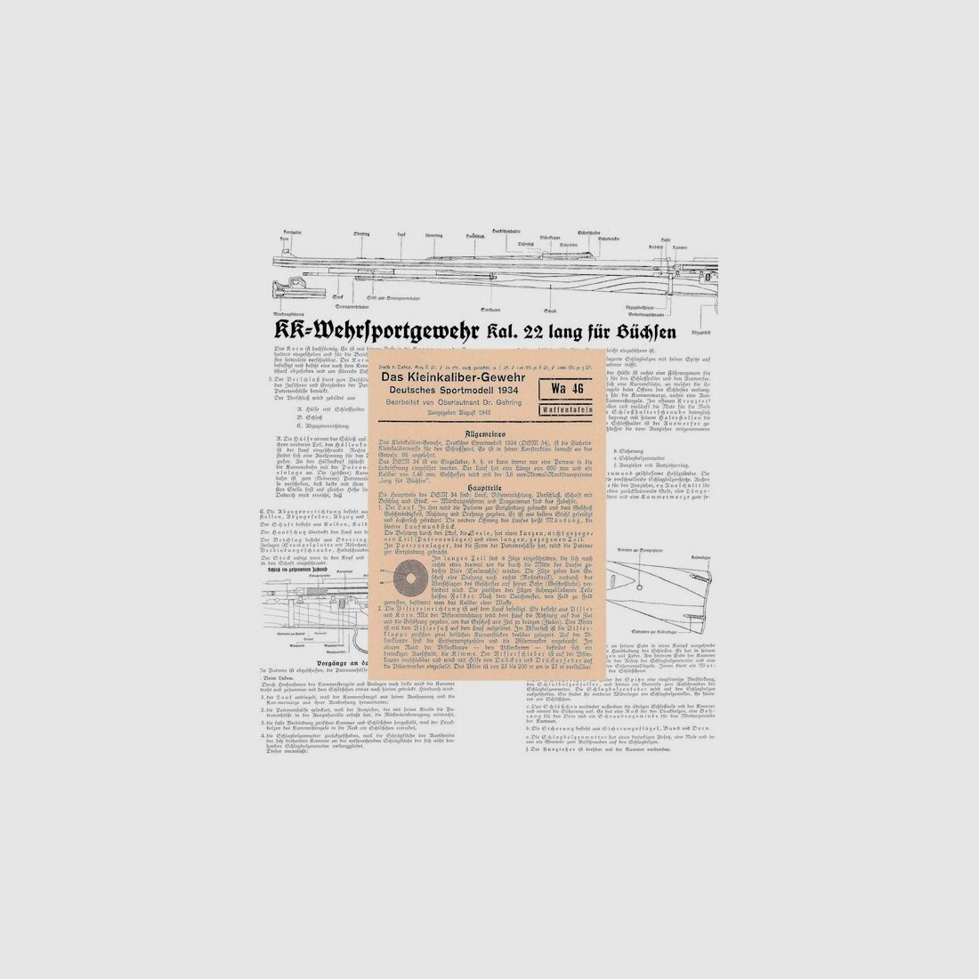 Nachdruck Taschenkarte Wehrmacht: Das Kleinkaliber-Gewehr