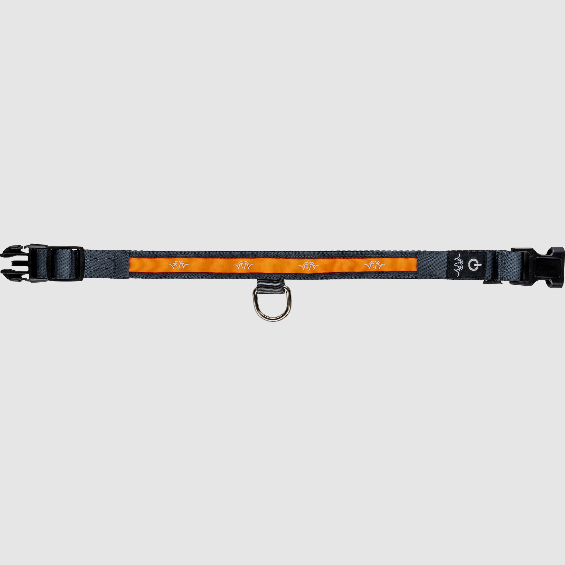 Blaser collare LED arancione taglia L