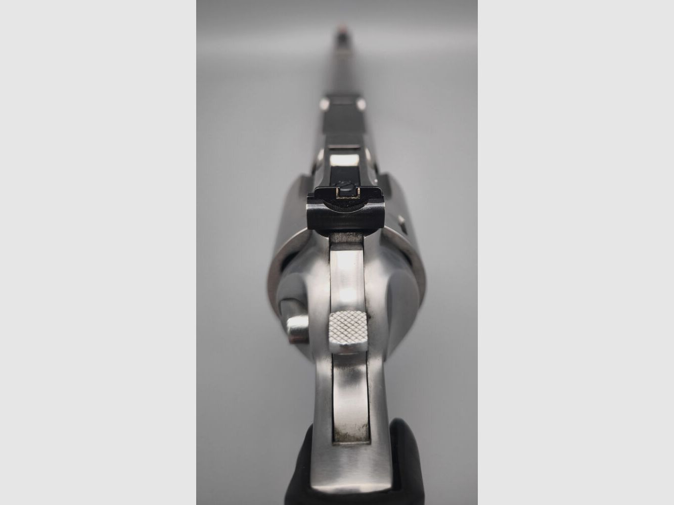 Ruger Super Redhawk .44RemMag