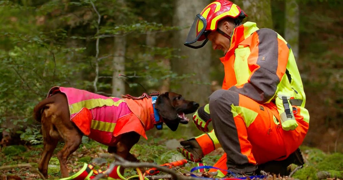 The Blood Tracking Work with the Dog - Gunfinder