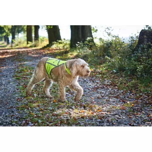 Hunter gilet réfléchissant jaune/nylon, image 3 sur 4