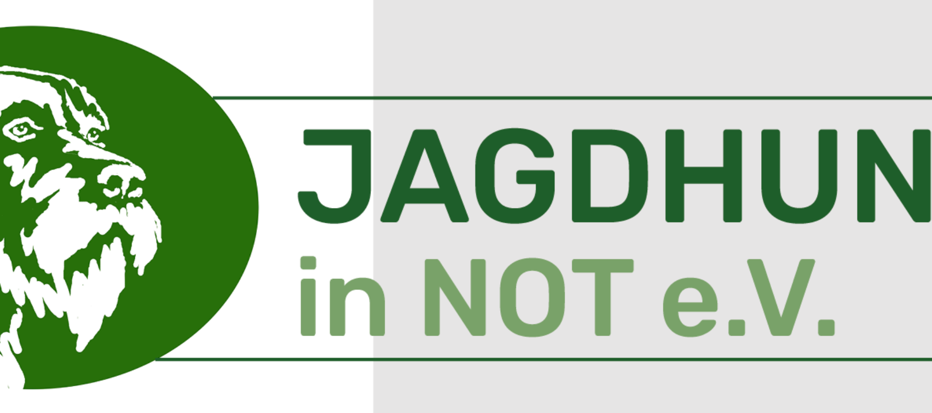 Jagdhunde-in-Not e.V.: The Rescuer in Need for Four-Legged Friends