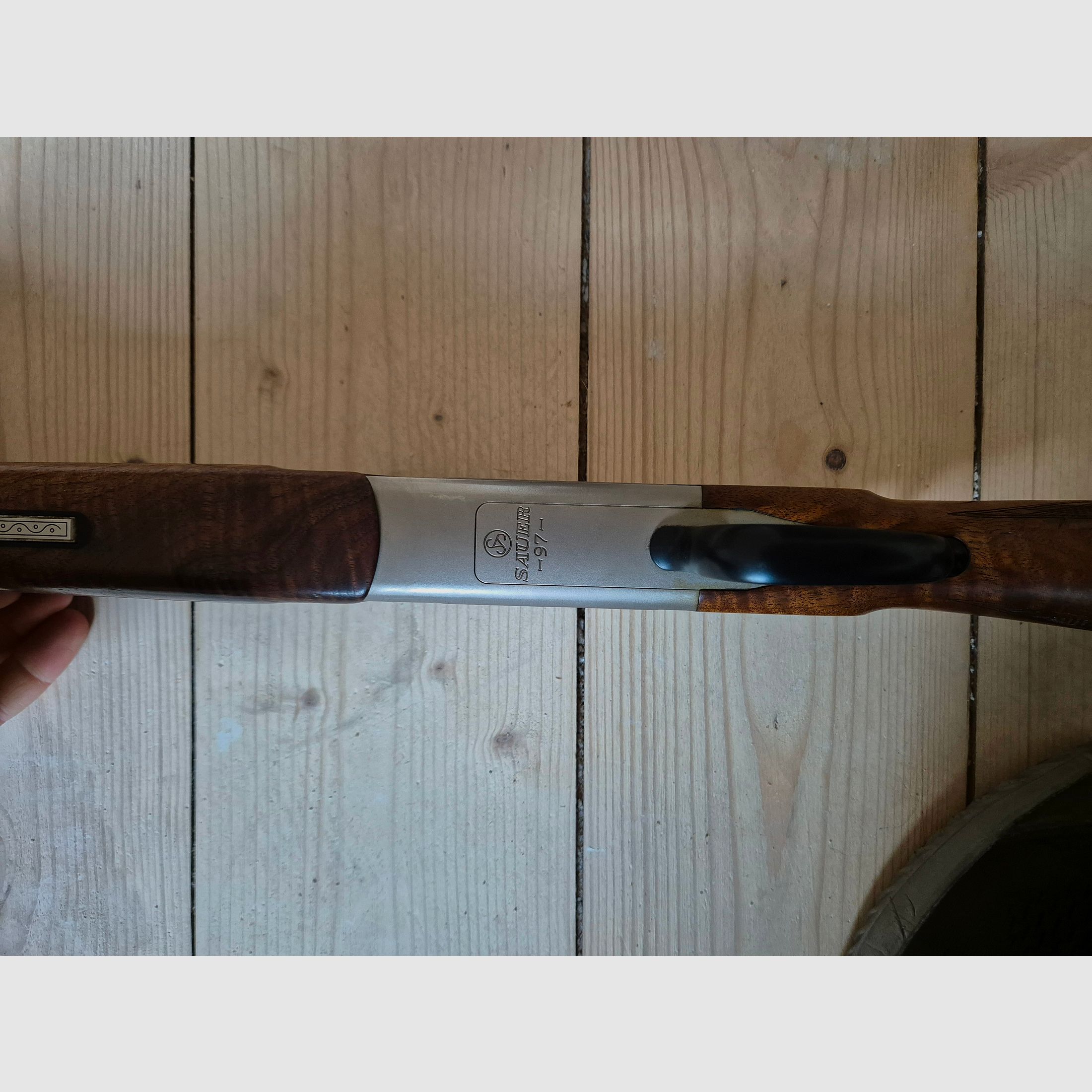 Doppietta Bock Blaser / Sauer 97 8x57IRS con capsule e Aimpoint