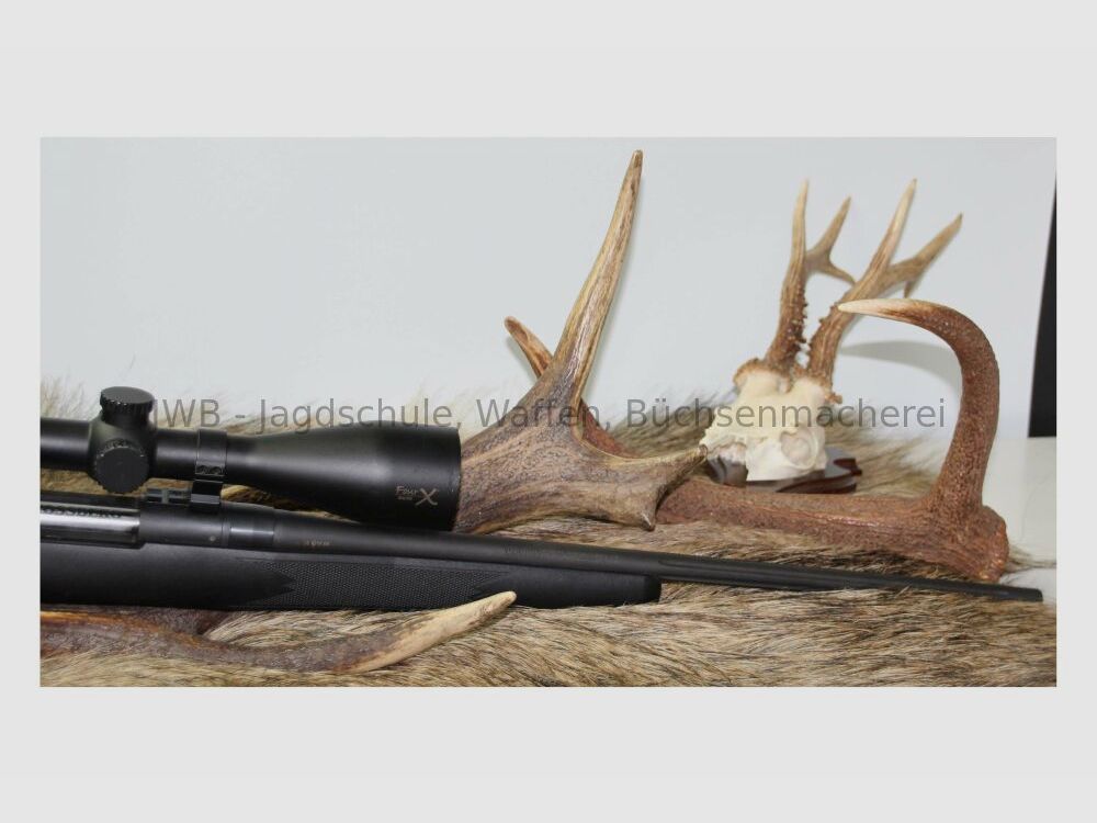 Mossberg 100ATR mit Burris Four X 3-12 x 56 Abs. 4 beleuchtet - ideal für k .308Win