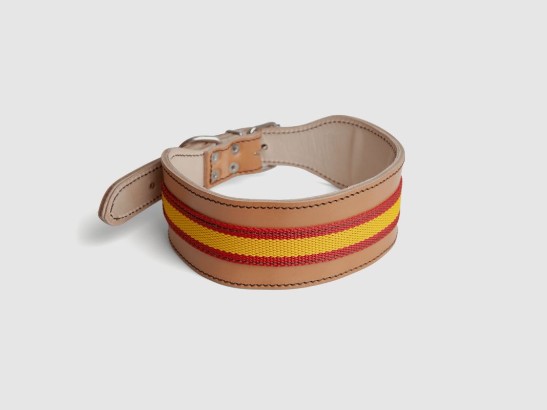 Halsband Spanien für Mastin 7x75