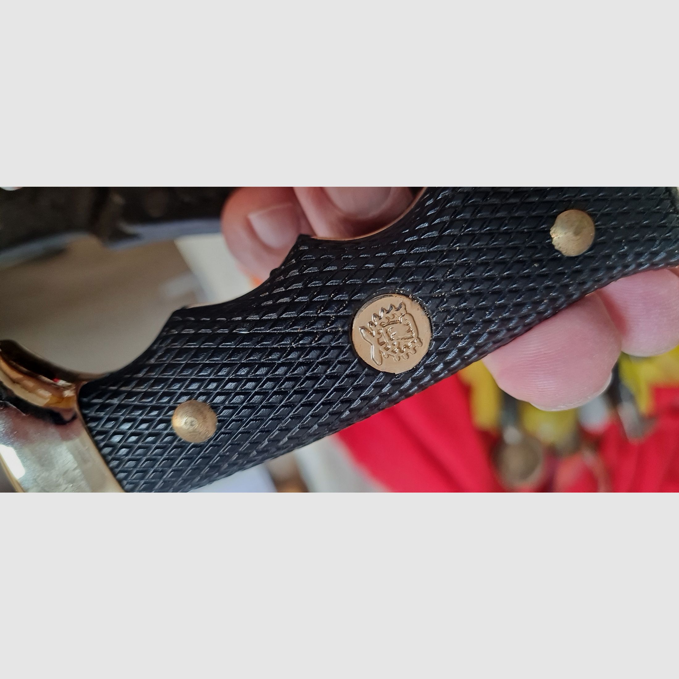 Set di coltelli da caccia con due coltelli