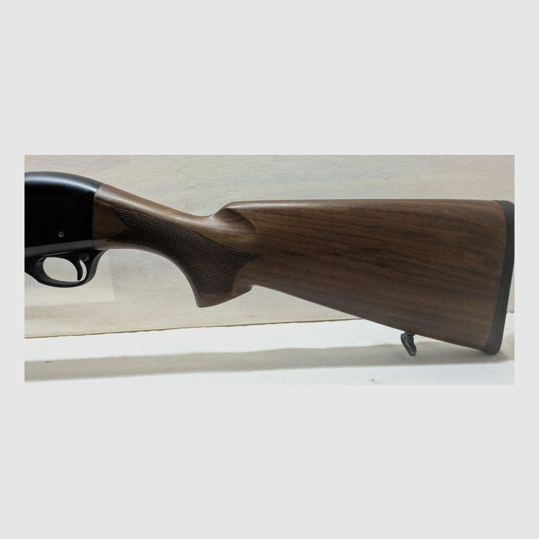 Luger 2005