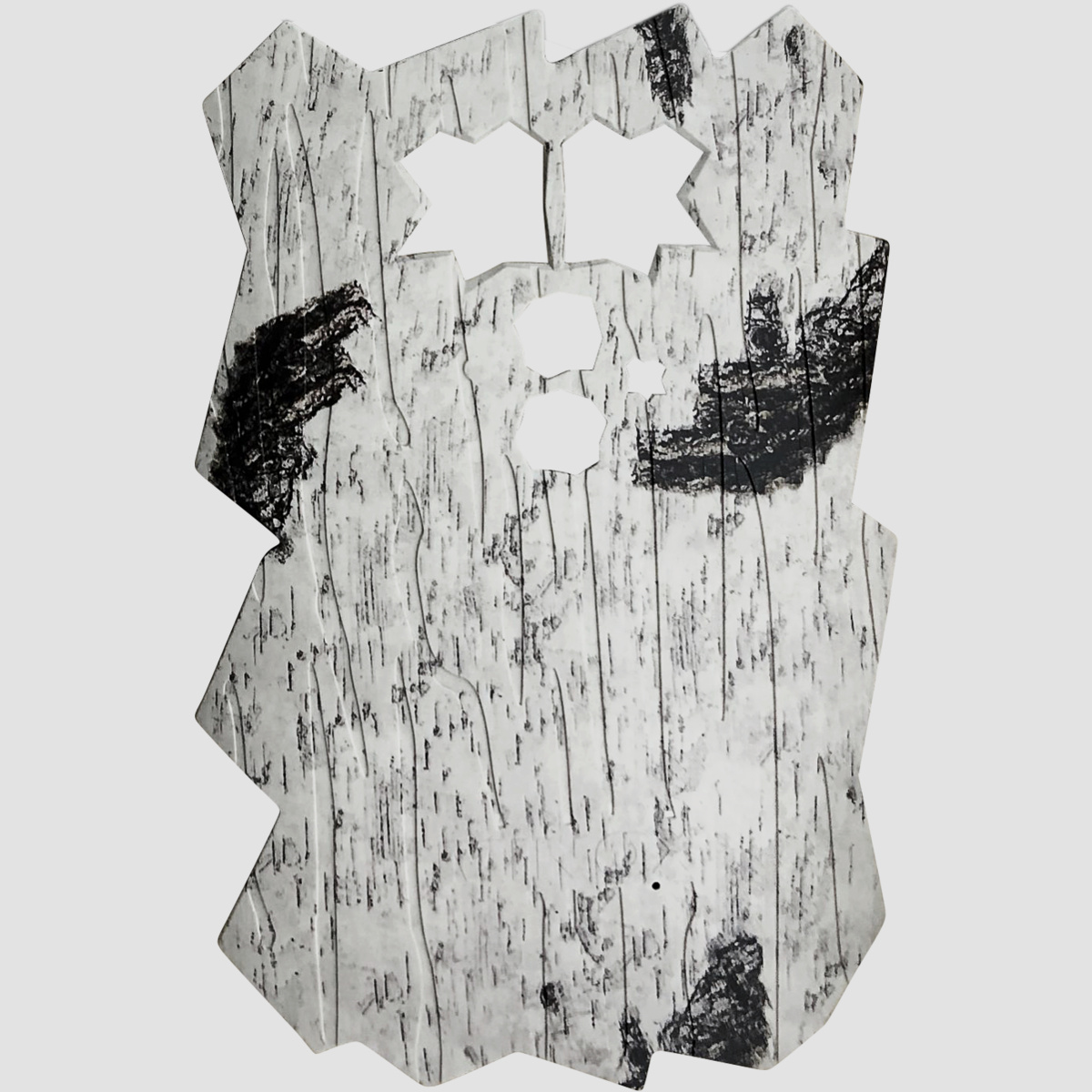 Minox DTC 460 Frontblende