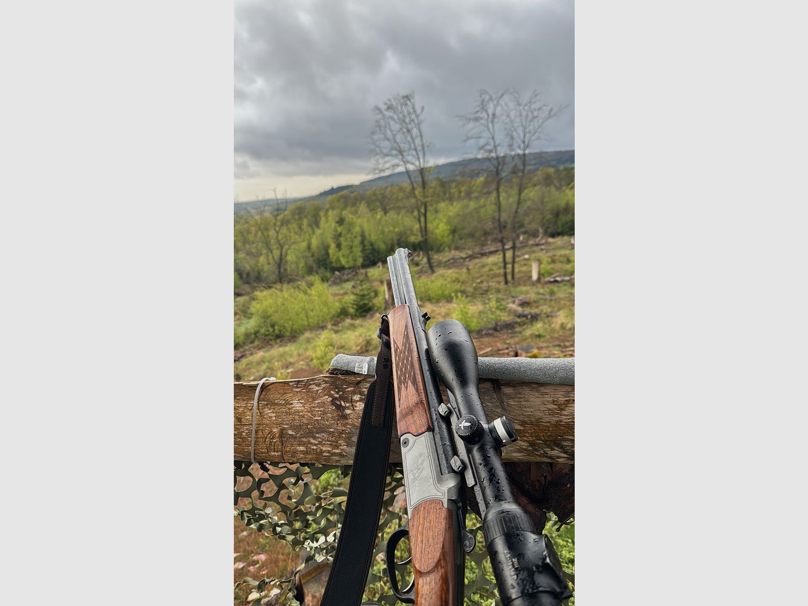 Blaser BBF 95