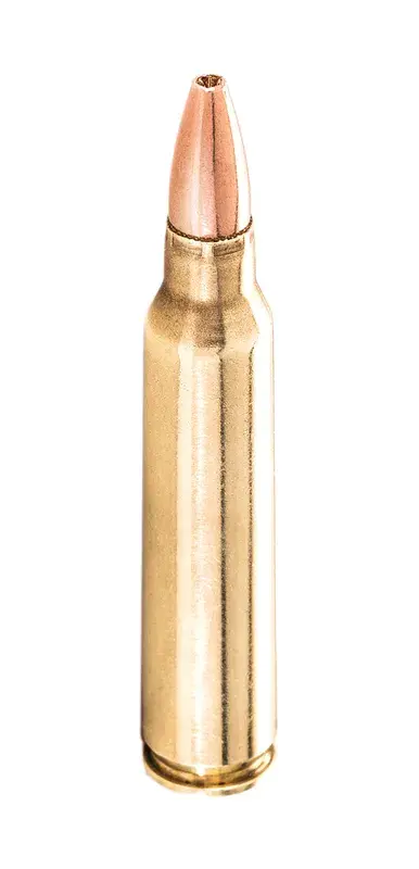Balles De Chasse Winchester Varmint-X Lead Free Calibre 243WIN, image 4 sur 8