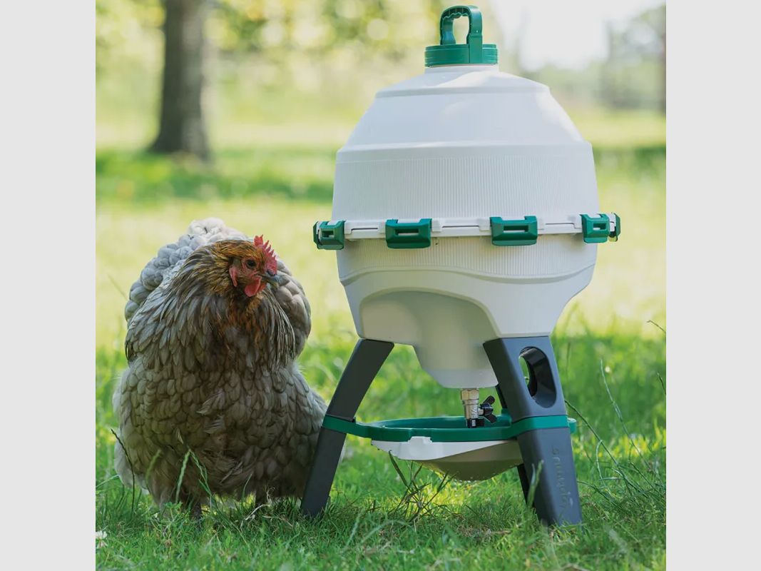 Abreuvoir Olba Optimus 25 L sur pieds, réservoir démontable, image 9 sur 16