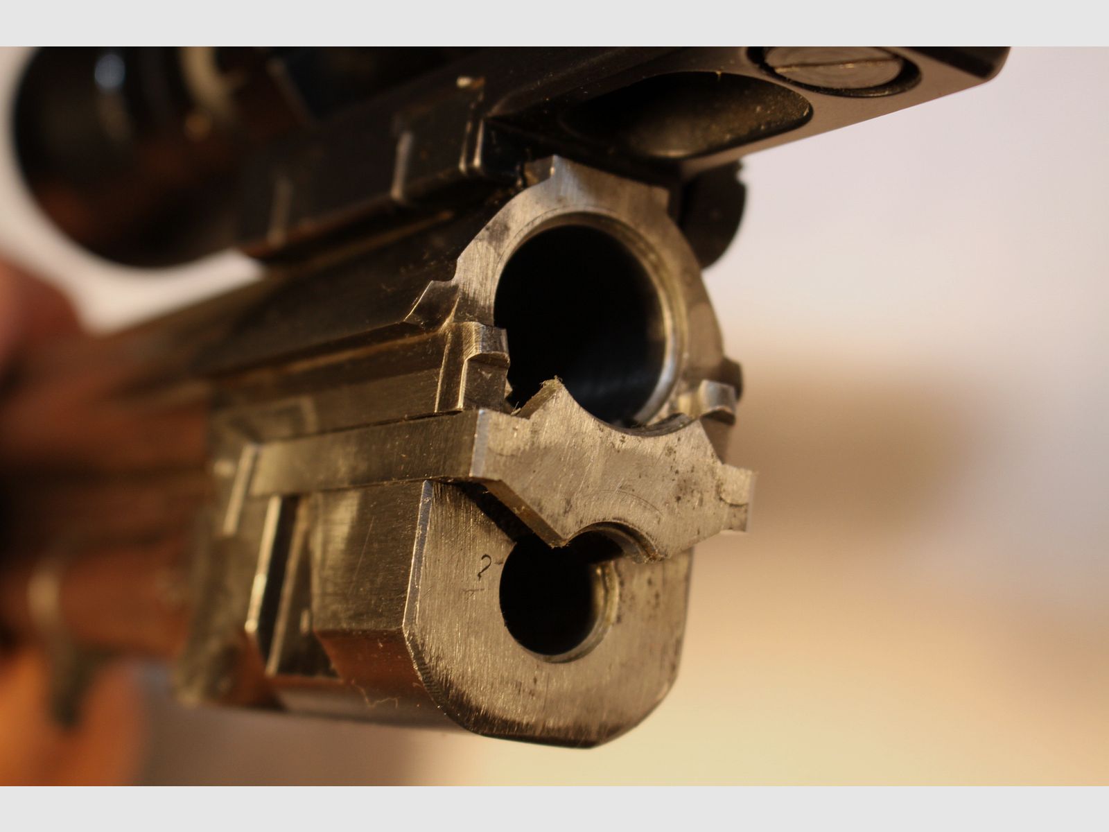 Brno Arms BBF für den Drückjagd-  Durchgehschützen in 12/70 und 7x65R.