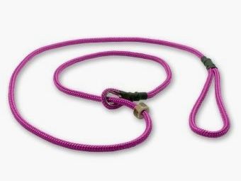 Mystique® Field trial Moxonleine 6 mm 150 cm Lila