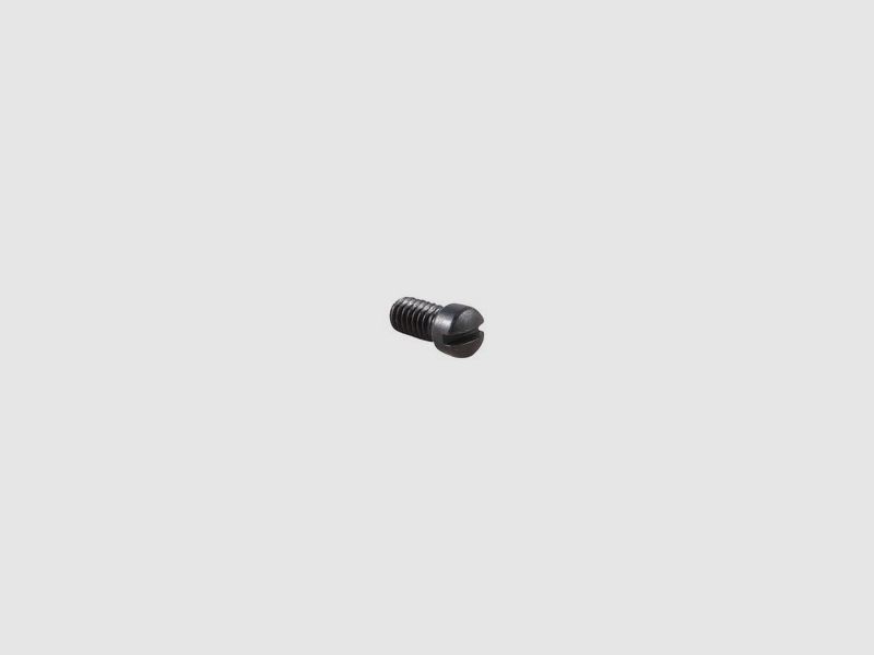 SMITH & WESSON Tornillo de Placa Lateral, Cabeza Redonda, Azul