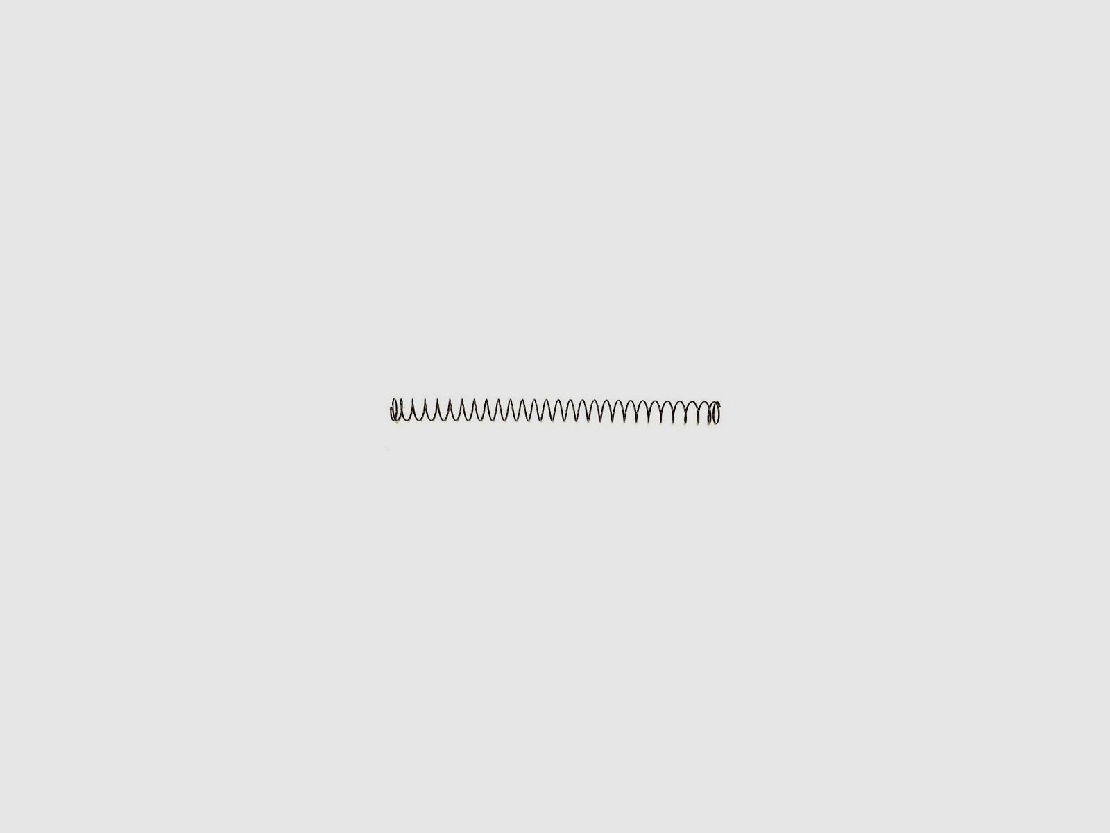 RUGER P95 Recoil Spring Inner