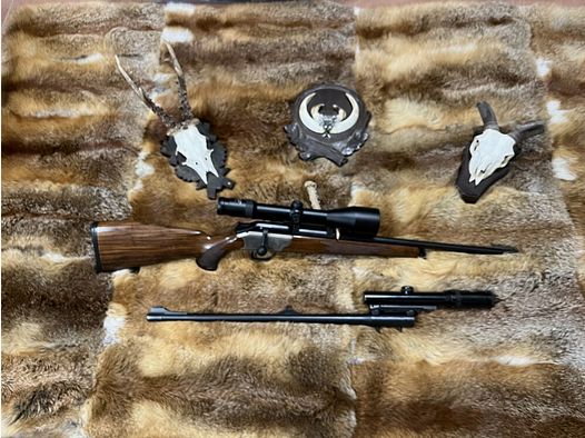 Blaser R93