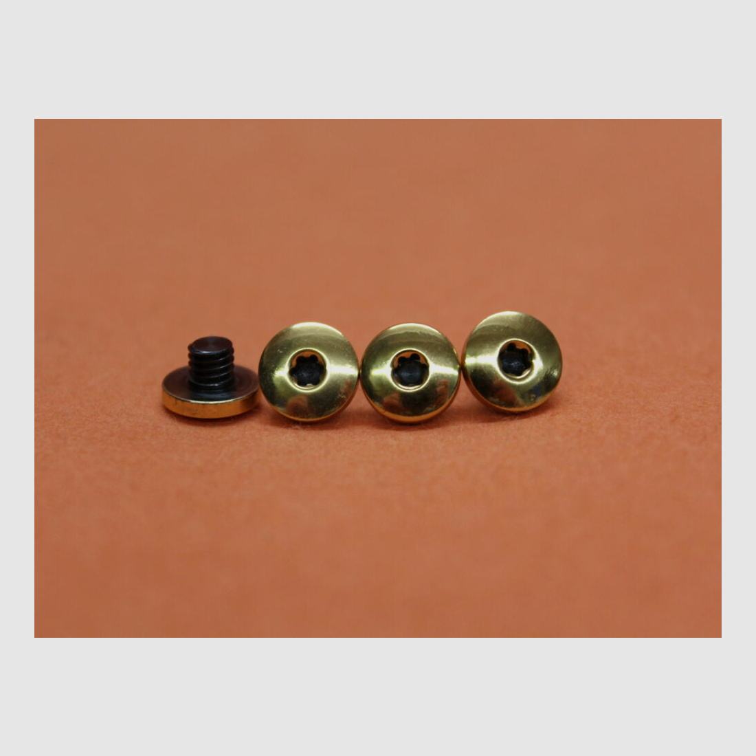 SIG Sauer SIG Sauer X-LINE: 4 pieces grip panel screw Torx gold-plated (70002331)