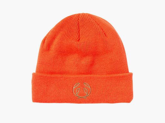 Chevalier Beanie Bristol Infinium Pine Green