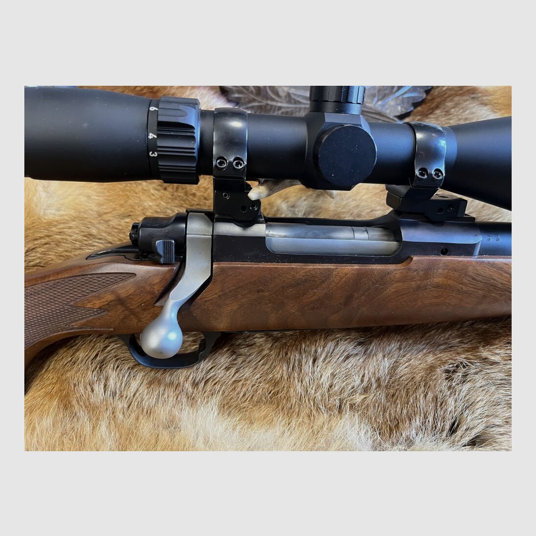 Ruger 77