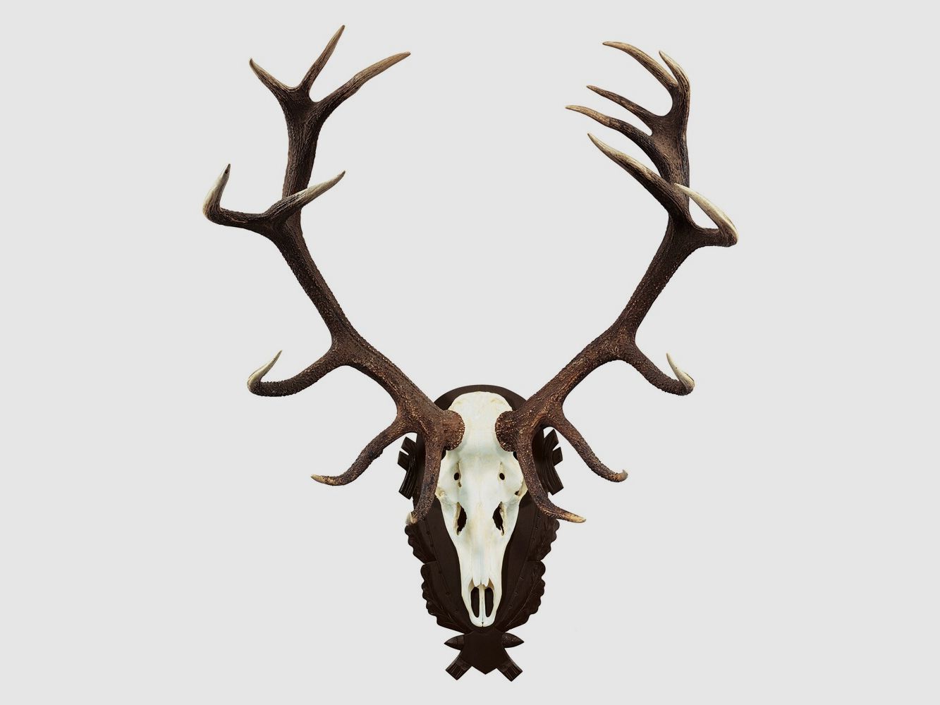 Wald & Forst Trophy shield deer (Dark), imagen 2 de 2