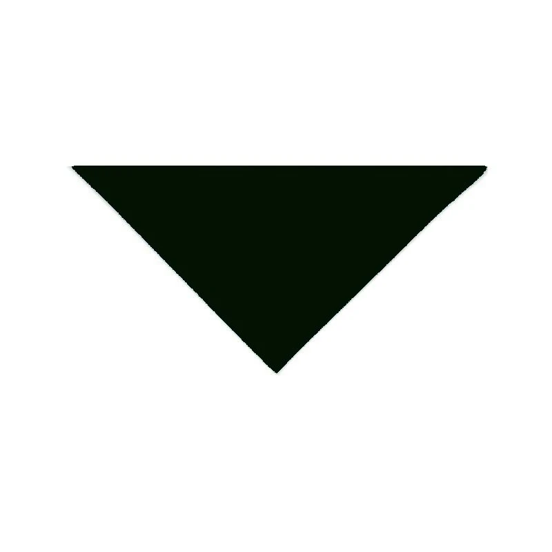 Black scout neckerchief ZHP